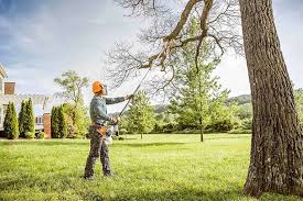 Best Tree Removal Service  in Aspinwall, PA